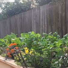 Kitchen Garden Design In 2020 Garden Design Plans Garden Design Planting Layout