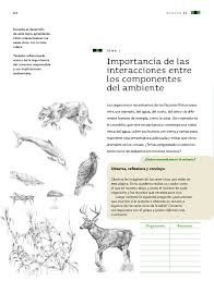 Respuestas libro de ciencias naturales cuarto grado contestado 2019. Libro De Sexto Grado Ciencias Naturales Https Coleccion Siaeducacion Org Sites Default Files Files Primaria Tercer Grado Ciencias Naturales Libro De Texto Pdf Primaria Sexto Grado Ciencias Naturales Libro De Texto