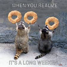 When you realize it's the long weekend! #meme #racoons #bagels #longweekend  #labourdayweekend #kettlemans #kettlemansbagels