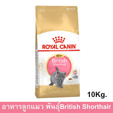 อาหาร แมว british shorthair price