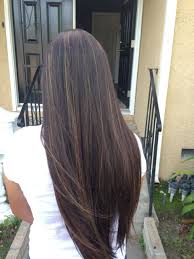 Dark brown hair with caramel balayage highlights. Highlights In Dark Brown Hair Straight Up To 67 Off Free Shipping