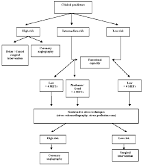 Stepwise Approach To Preoperative Cardiac Assessment At Peripheral Download Scientific Diagram