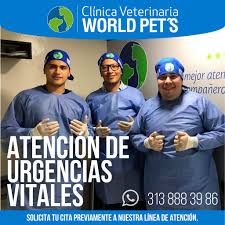 WORLD PET'S - Clínica Veterinaria (24 horas)