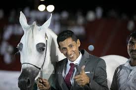 النتائج النهائية بالصور لبطولة المدينة المنورة لجمال الخيل العربية 2019 Arabian Horse Horses Character
