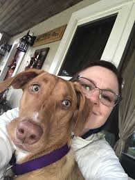 Pin By Janan Hollerbach On My Stella Animals Dogs Stella