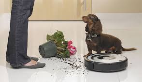 In late 2010 and into 2011, irobot introduced a trio of robot vacuums dubbed the roomba pet series. How Rodney Brooks Revolutionised Robotics Stuff Co Nz