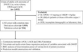 Study Flow Chart Abbreviation 24hup 24h Urine Protein