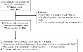 study flow chart abbreviation 24hup 24h urine protein