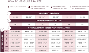 How To Measure Bra Size Bra Size Chart True Co
