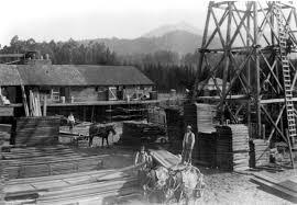 Maybe you would like to learn more about one of these? Then And Now The E K Wood Lumber Yard San Anselmo Historical Museum