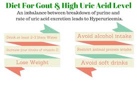 diet and food tips for gout hyperuricemia high uric acid