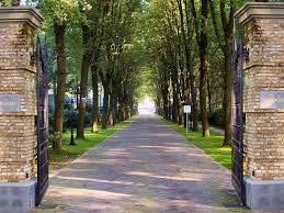 Midden op de veluwe vindt u nabij het plaatsje lunteren ons vakantiepark; Topparken Landgoed De Scheleberg Is Gelegen In Het Gelderse Lunteren Een Prachtig Vakantiepark Midden In De Bossen Bossen Wandelen Honden