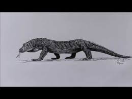 You can download it on google play market for free. How To Draw Komodo Dragon Easy Tutorial Youtube