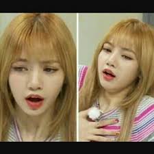 Lisa Meme Appreciation