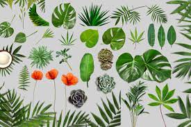 Find vectors of floral pattern. I Pinimg Com Originals B1 C7 Fa B1c7fa71c37dc38