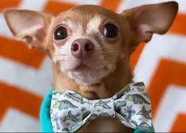 In each sentence there is an unused word. Arrange The Jumble Words To Make Good Sentences Begin The Sentence With The First Word Let S Brainly Co Id