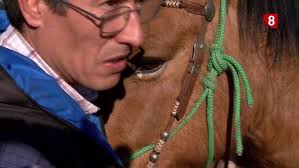 Doma, Primer Acercamiento, Primera Monta. Potro de 2 años