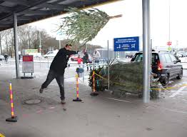 Knut Ist Wieder Da Baumweitwurfmeisterschaft Bei Ikea Wuppertal Wuppertal Total Aktuelle Nachrichten Und Lokale News