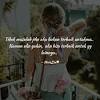 Mungkin bukan yang terbaik untuk ku mp3 & mp4. Https Encrypted Tbn0 Gstatic Com Images Q Tbn And9gcqk V3x Evoplqa Sm5a1ruaol3djfnstyvldopxqi Usqp Cau