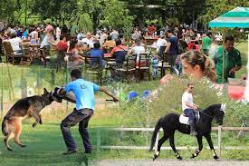 bursa k9 kopek ciftligi binicilik merkezi pet shop cafe amp restaurant www bursak9 com 0 224 303 00 00 0 kopek egitimi kopek binicilik