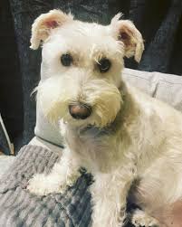 Hi all! I just wanted to introduce myself and share a photo that I took