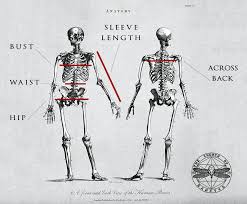 v0008004 human skeleton church of sanctus