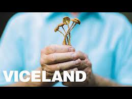 Psilocybin mushrooms pronunciation sign in to disable all ads. Wie Man Ausspricht Psilocybin Howtopronounce Com