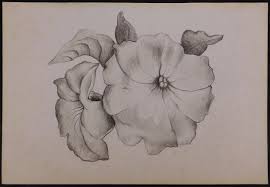 Georgia o'keeffe flower paintings names. Sold Price Georgia O Keeffe Manner Of Morning Glories June 6 0120 12 00 Pm Edt