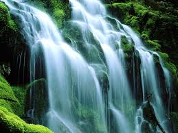 37 Hd Waterfall Wallpapers 1080p On Wallpapersafari Commercial usage of these full hd p waterfall wallpapers hd desktop backgrounds is prohibited. 37 hd waterfall wallpapers 1080p on