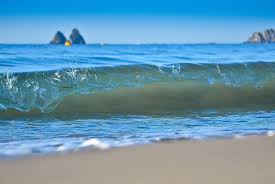 Livre dor (Visitors book) - StephPennellafoto !