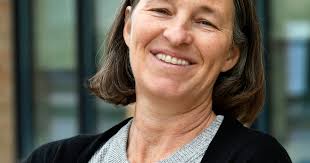 Professor Published in Prestigious Ploughshares Journal