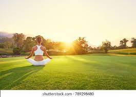 Keep an eye out for peacebank yoga signage to help you locate your class. Yoga Park View Mountains Sunlight Young Stock Photo Edit Now 789298480