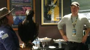West coast eagles, mascot harv time poster. Prince Harry S Aussie Bird West Coast Eagles Mascot Meets Royalty Perthnow
