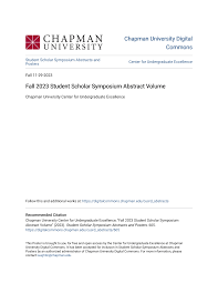 Creative Life - Embracing New Paths