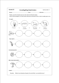 Worksheets On Food Chains Science Pinterest Food Chains Chains Cadena De Comida Red Trofica Hojas De Ejercicios Para Ninos