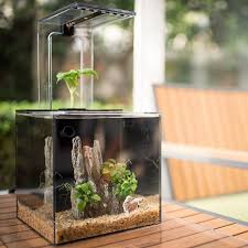 Ecoqube Aquarium That Creates A Self Sustaining Ecosystem With Fish And Herbs Grown From The Top Of The Tank Growing Plants Indoors Fish Tank Aquarium