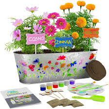Maybe you would like to learn more about one of these? Buy Paint Plant Flower Growing Kit Kids Gardening Science Gifts For Girls And Boys Ages 4 5 6 7 8 9 10 11 Stem Arts Crafts Project Activity