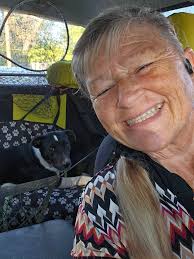 Lost dog found at Cameron shelter