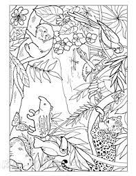 Free shipping on orders over $25 shipped by amazon. Rainforest Animals Coloring Page Coloring Book 2021