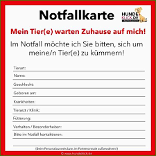 Muster alarmplan in diesem alarmplan sind die sofortmaßnahmen im falle eines unfalls oder. Notfall Und Alarmplan Vorlage Excel Notfall Und Alarmplan Vorlage Word Phanomenal 9 Muster Fur Eine Makellose Struktur Und Eine Effiziente Substanz Konnen Es Ihrem Lebenslauf Ermoglichen Qinas Lisa