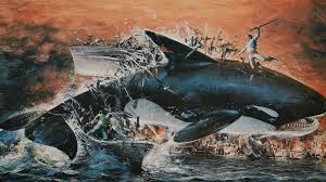 Check spelling or type a new query. Orca The Killer Whale Hd Wallpapers Background Images