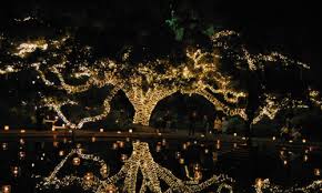 Start A New Holiday Tradition With Nights Of A Thousand Candles Dayton House