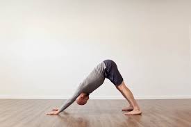 Upscale your yoga and sports practice. Downward Facing Dog All You Need To Know Yogateket