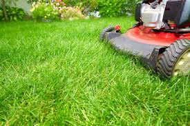 If you have a big lawn with a lot of grass or you even have tough weeds growing in your yard, then it's a good idea to select a mower which comes with more than a single cutting blade. The 7 Most Common Mistakes People Make When Choosing A Lawn Mower Mowdirect