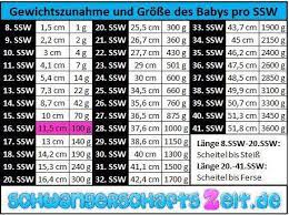 16 Ssw Bauch Entwicklung Geschlecht Ultraschall