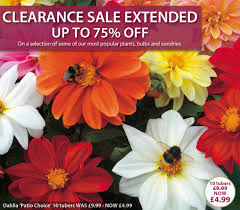Whether you want perrenial plants, flowering shrubs, naturalising bulbs or plants for hanging baskets, we can help with it all. Thompson Morgan Extended Clearance Sale Up To 75 Off Plants And Bulbs Milled