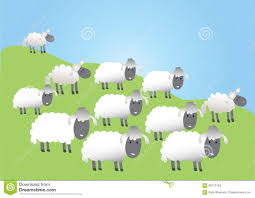 نتیجه جستجوی لغت [flock] در گوگل