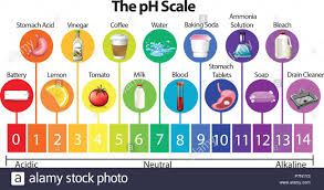 The Science Ph Scale Illustration Stock Vector Art