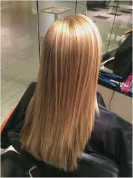 Hairstyles Blonde Hair Color Chart Enticing Best Light
