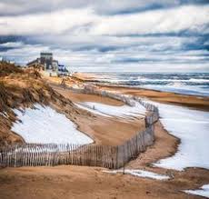 89 best plum island images in 2019 plum island seashell